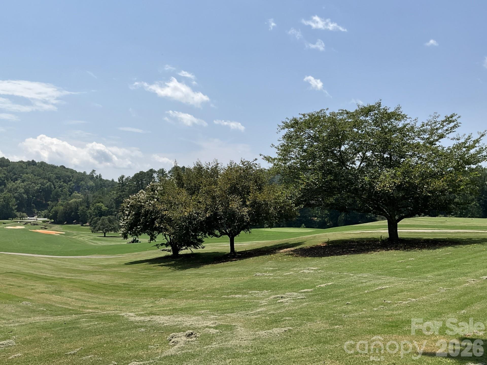 Lot 77 Winesap Boulevard Property Photo 6