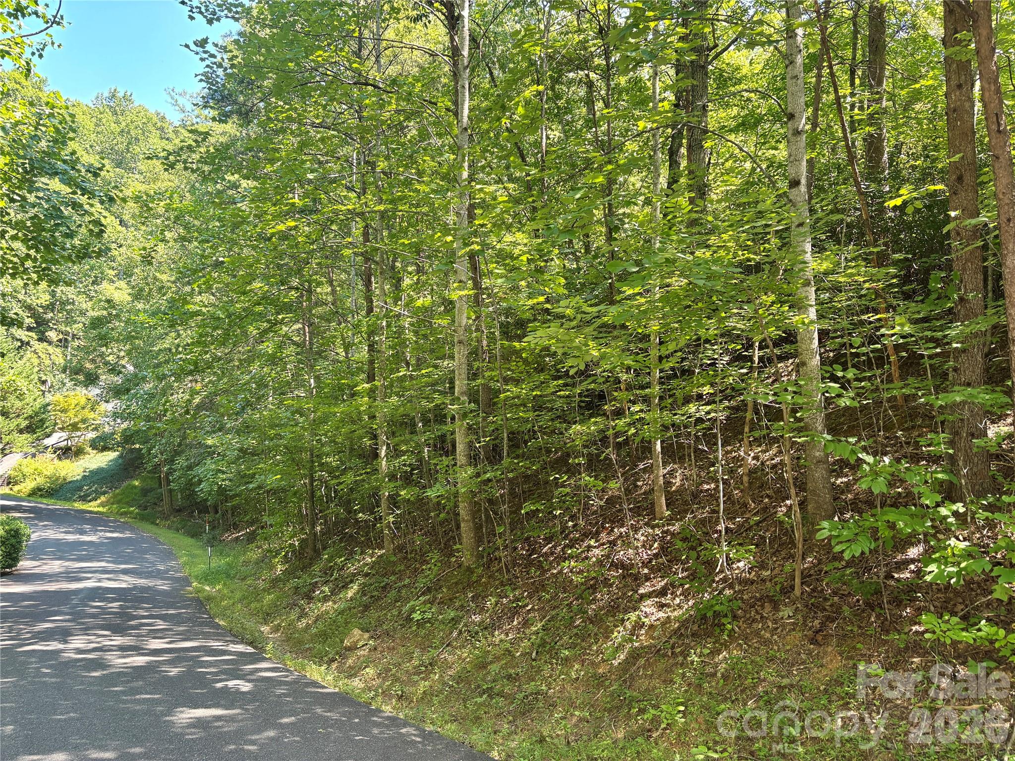 Lot 77 Winesap Boulevard Property Photo 7