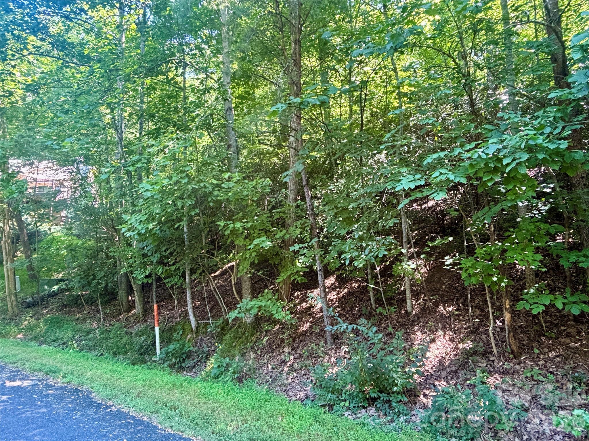 Lot 77 Winesap Boulevard Property Photo 8