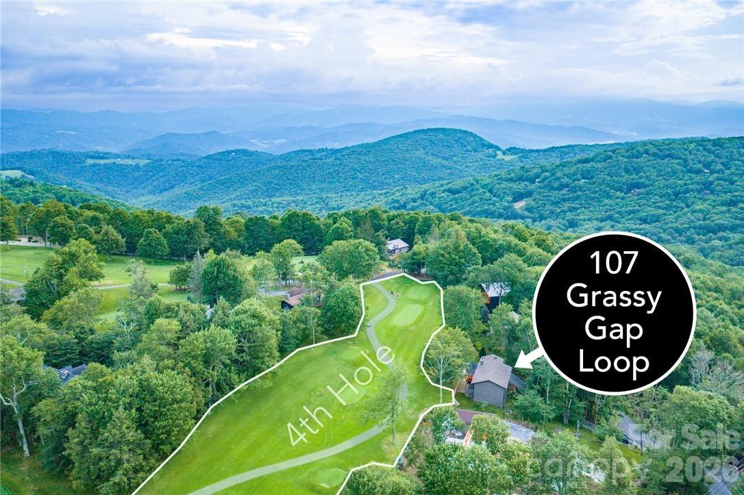 107 Grassy Gap Loop Road Property Photo 2