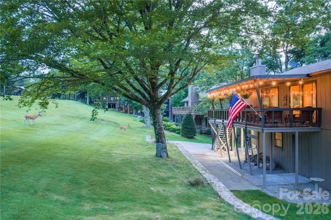 107 Grassy Gap Loop Road Property Photo 6