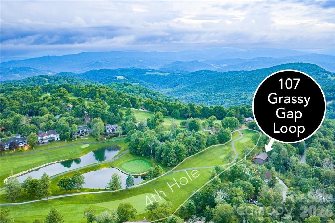 107 Grassy Gap Loop Road Property Photo 7