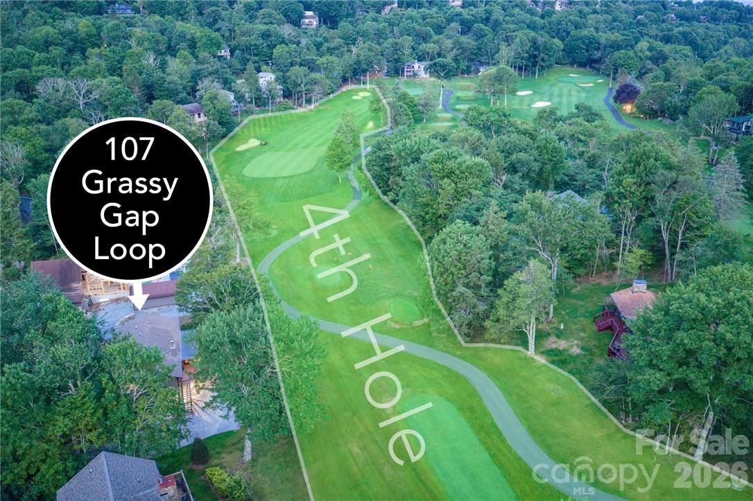 107 Grassy Gap Loop Road Property Photo 8