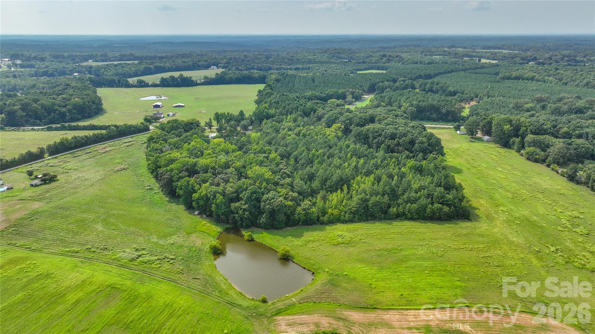 5584 Mcconnells Highway Property Photo 5