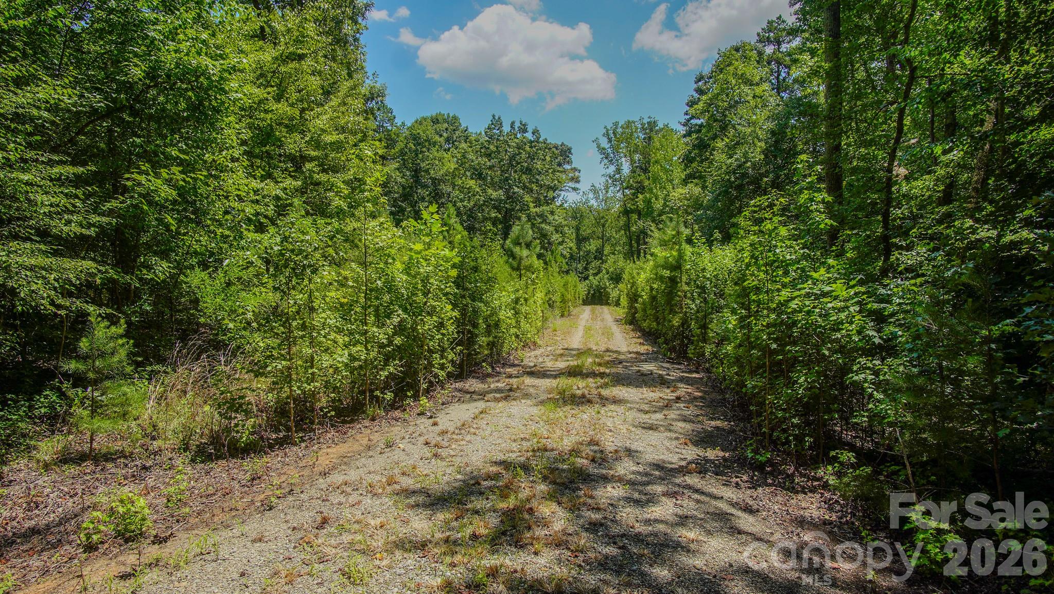 5018 Grassy Creek Road Property Photo 8