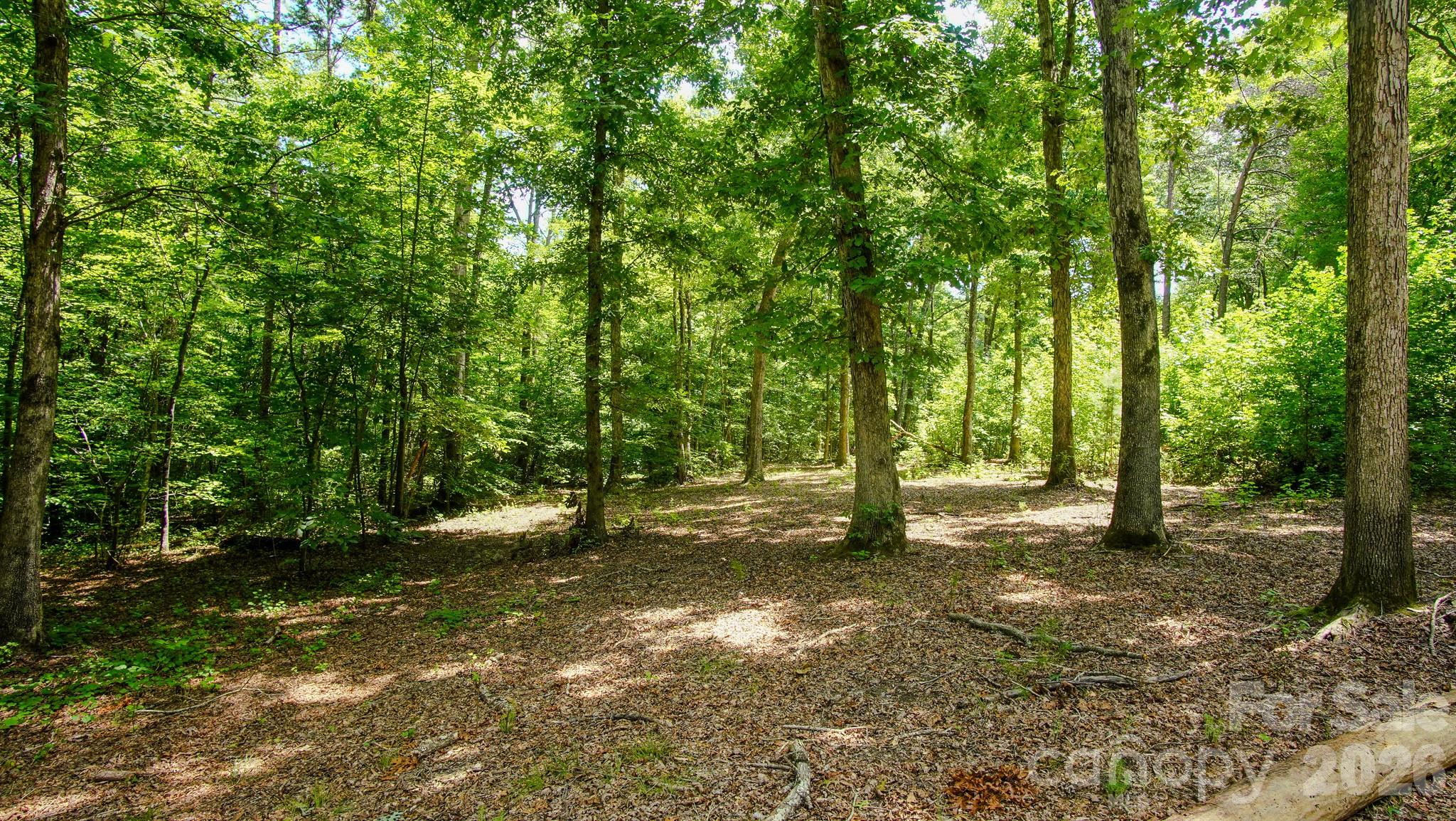 5018 Grassy Creek Road Property Photo 10