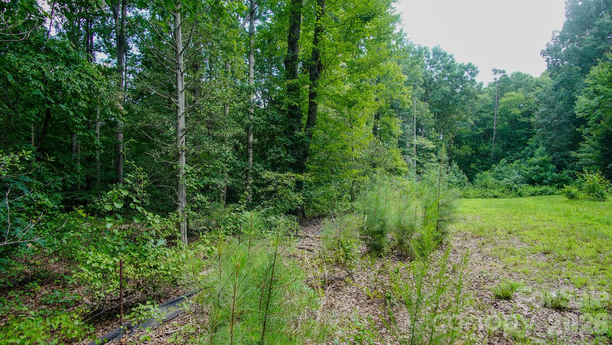 5018 Grassy Creek Road Property Photo 11