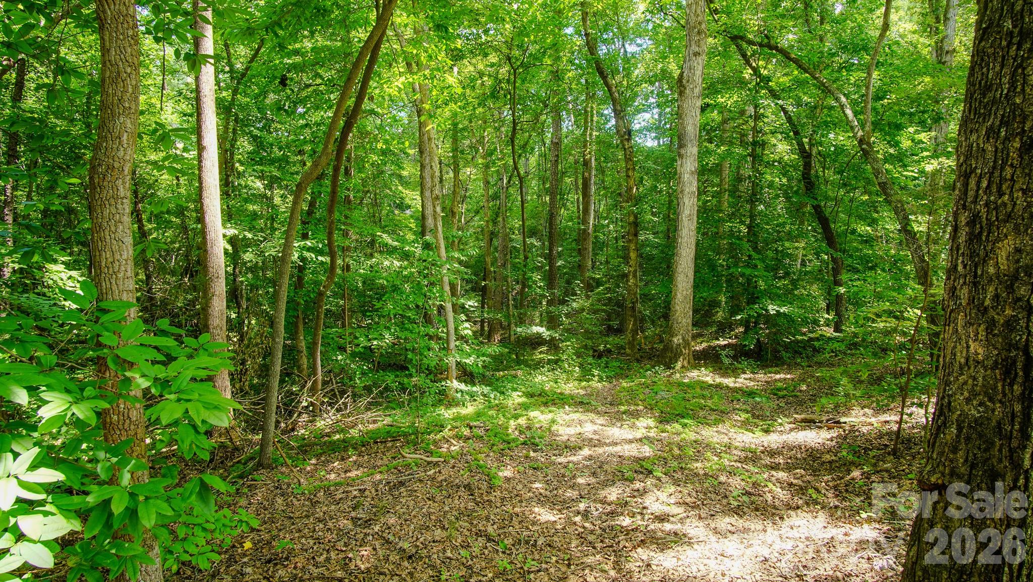 5018 Grassy Creek Road Property Photo 12