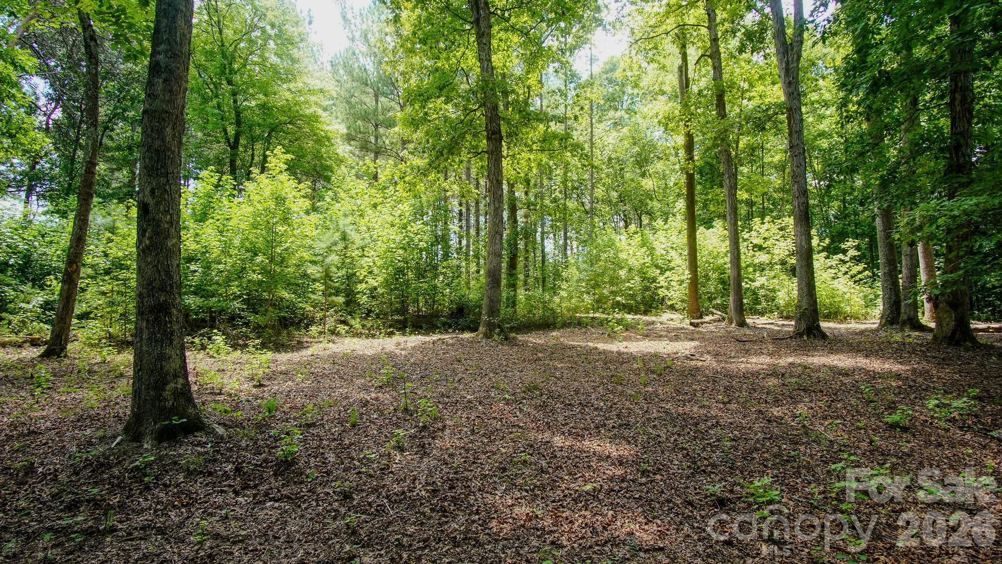 5018 Grassy Creek Road Property Photo 13