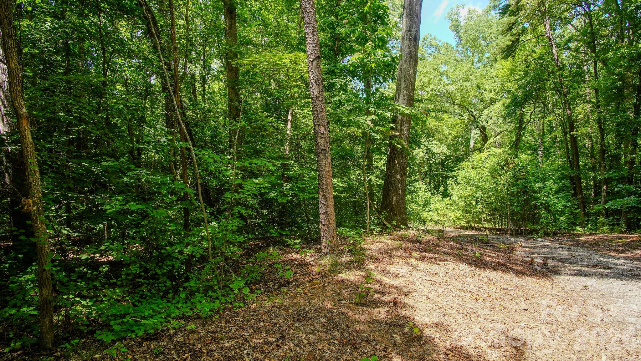 5018 Grassy Creek Road Property Photo 14