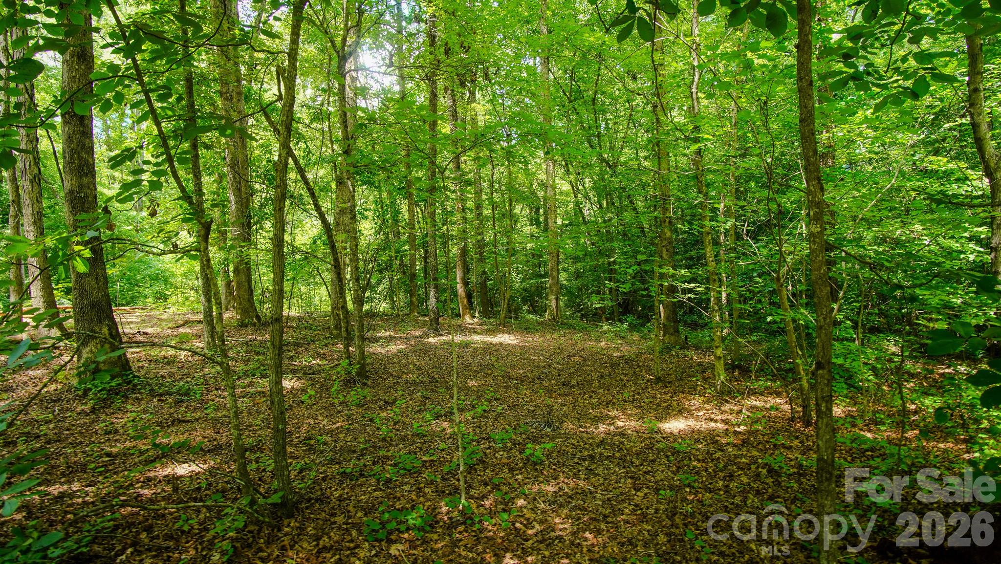 5018 Grassy Creek Road Property Photo 15