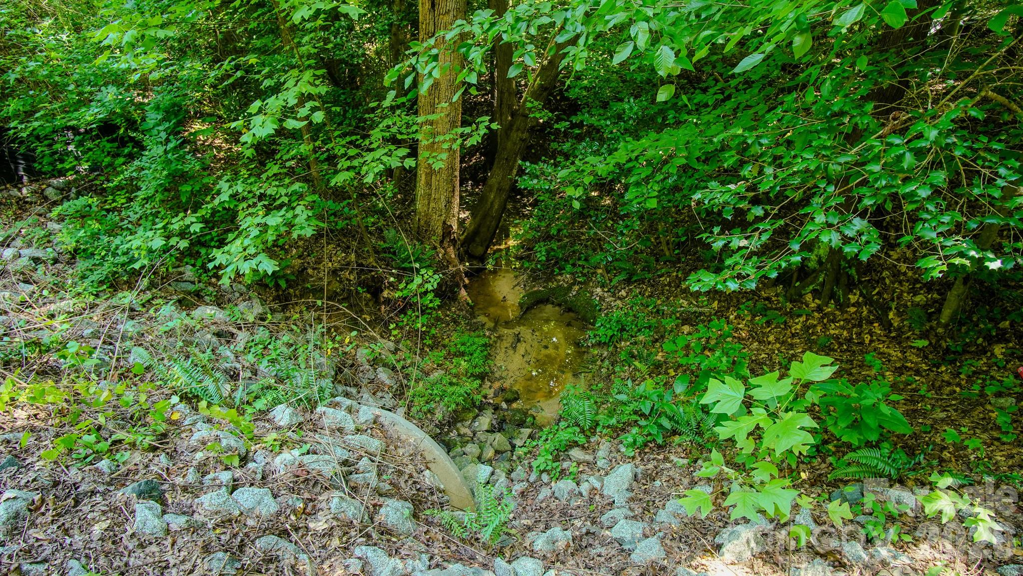 5018 Grassy Creek Road Property Photo 17