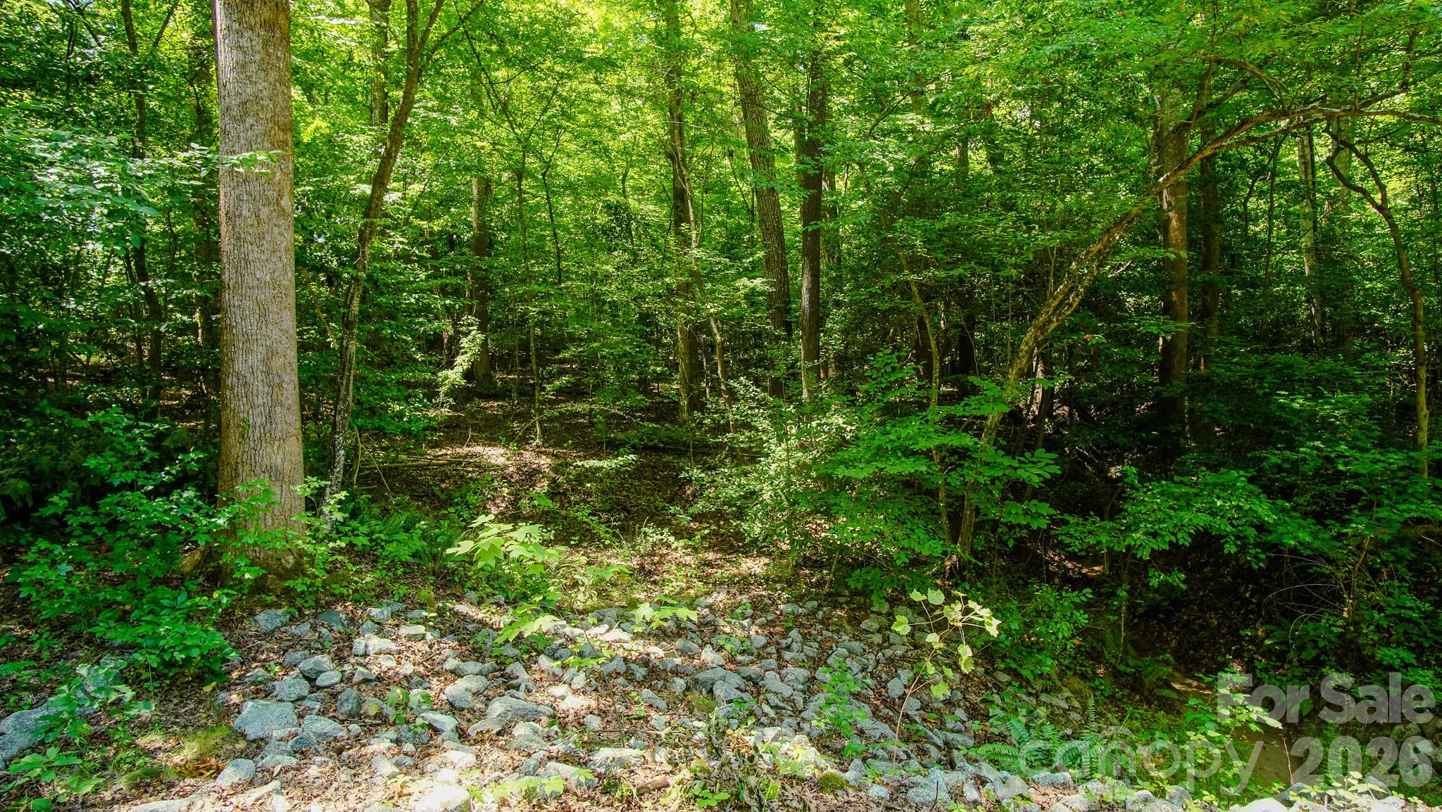 5018 Grassy Creek Road Property Photo 18
