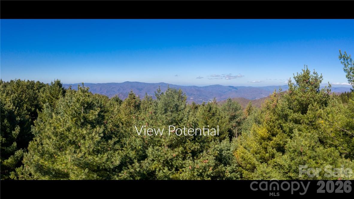 197 Eagle Bald Trail Lot 34 Property Photo 1