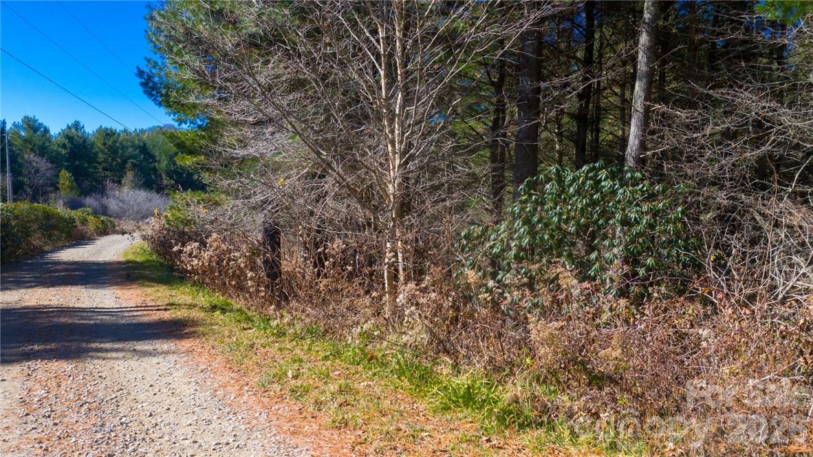 197 Eagle Bald Trail Lot 34 Property Photo 4