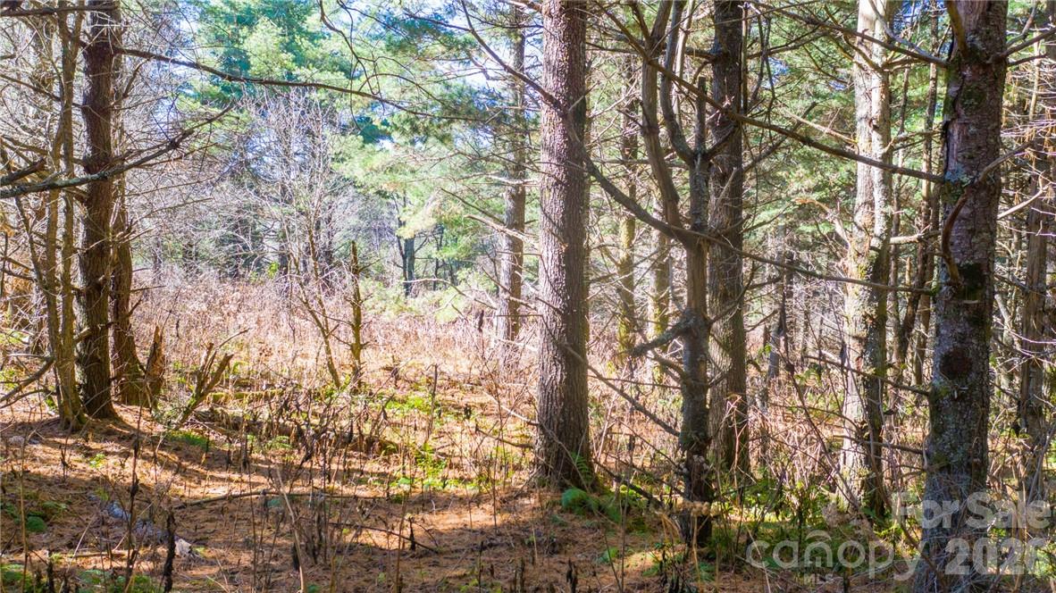 197 Eagle Bald Trail Lot 34 Property Photo 5
