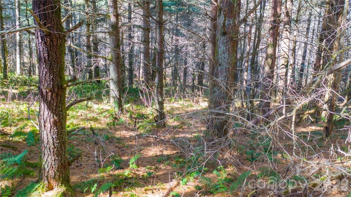 197 Eagle Bald Trail Lot 34 Property Photo 6