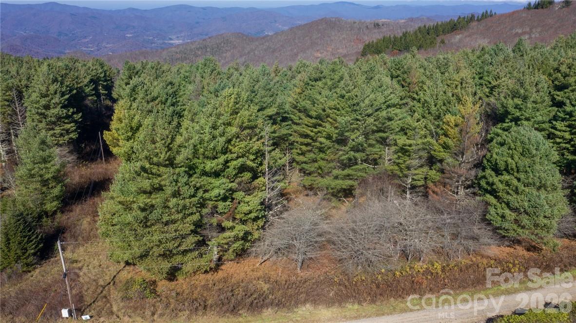 197 Eagle Bald Trail Lot 34 Property Photo 7