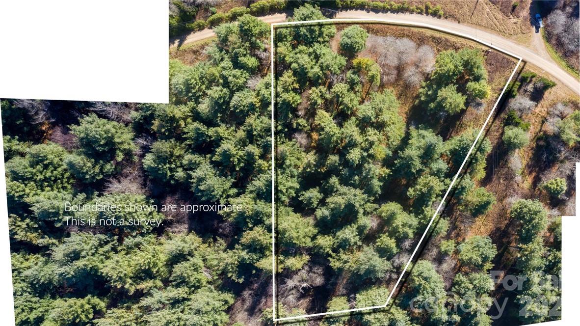 197 Eagle Bald Trail Lot 34 Property Photo 9