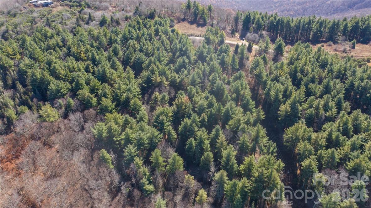 197 Eagle Bald Trail Lot 34 Property Photo 14