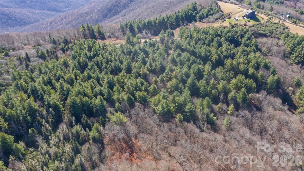 197 Eagle Bald Trail Lot 34 Property Photo 15