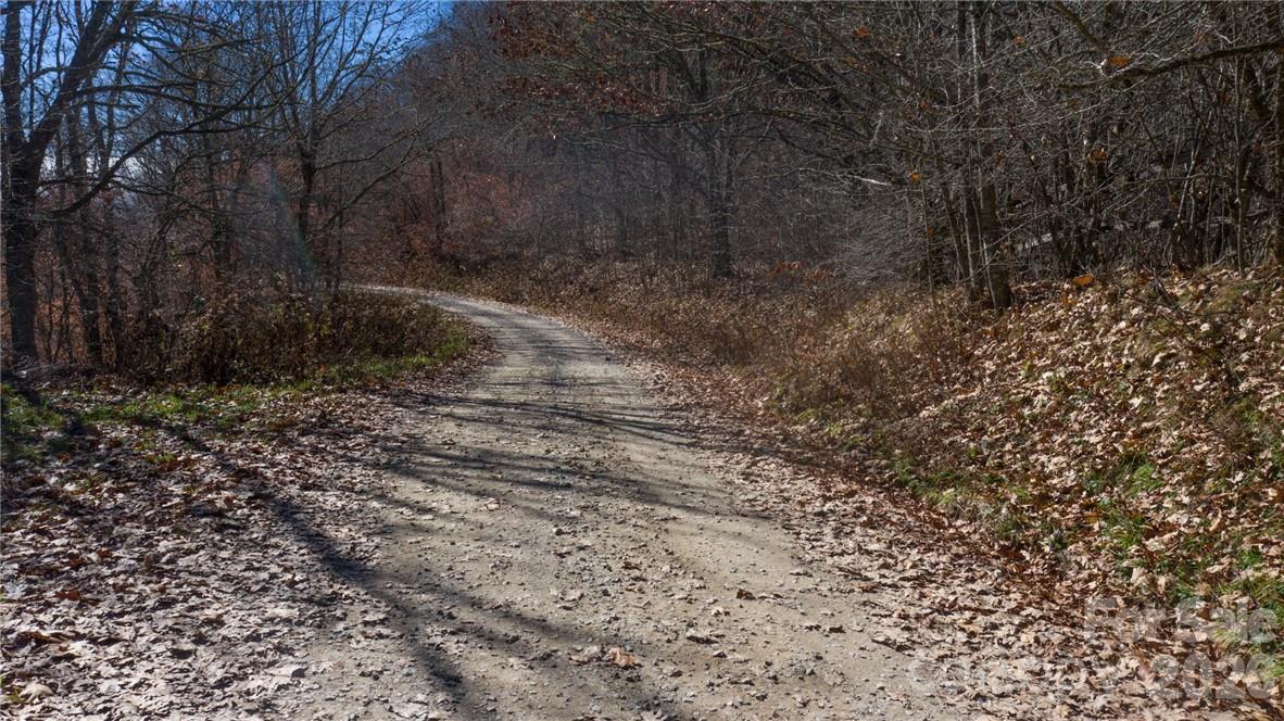 197 Eagle Bald Trail Lot 34 Property Photo 19