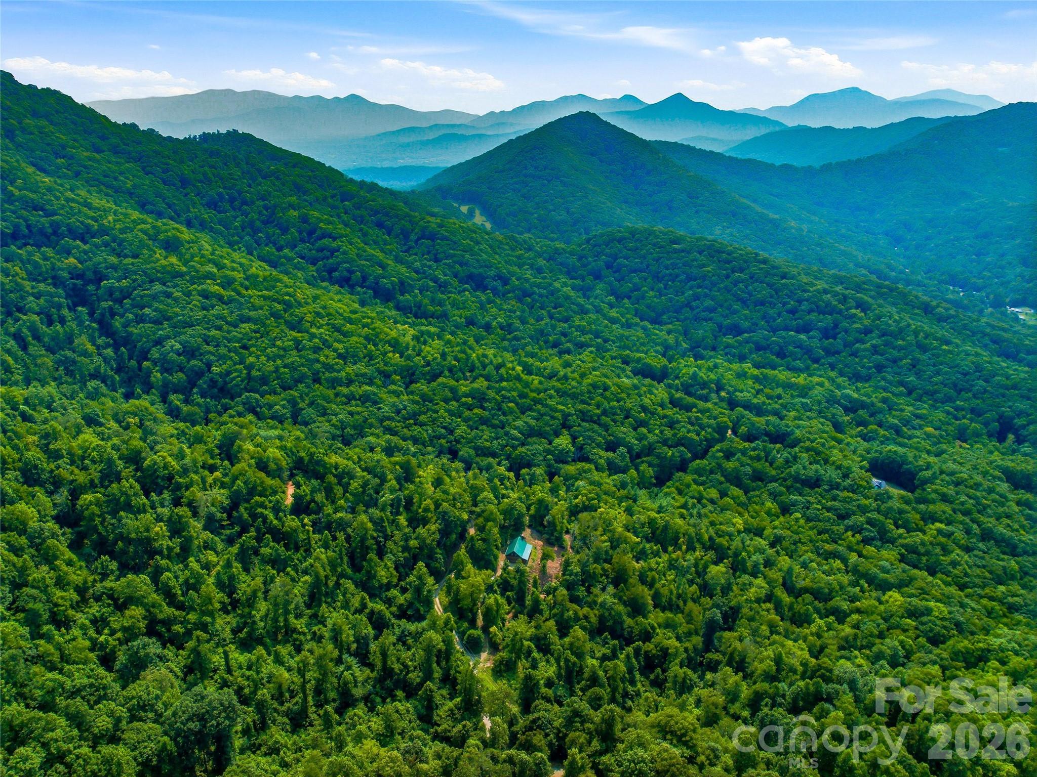 226 High Top Mountain Road Property Photo 41