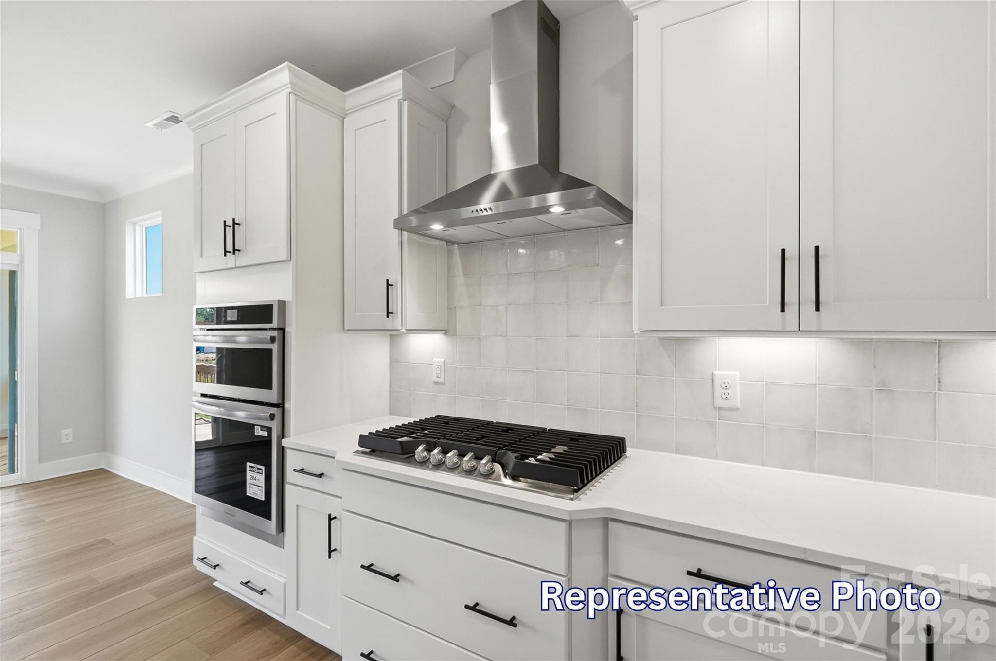1072 Tradition Club Street Property Photo 19