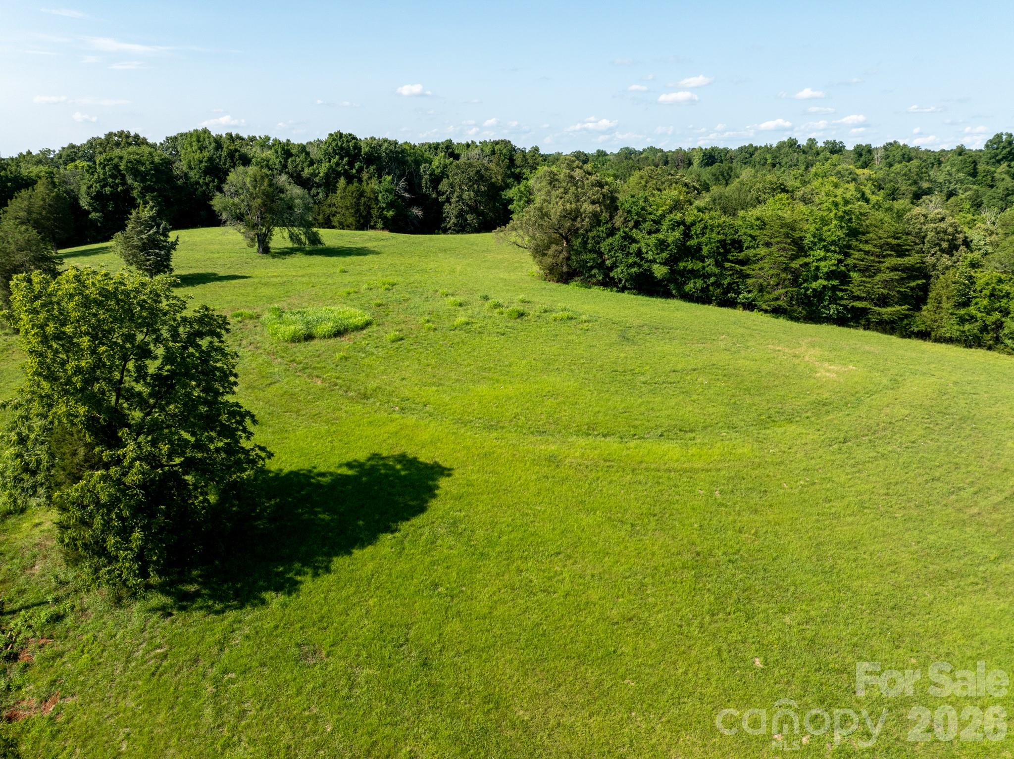 2555 Biggers Road Property Photo 6