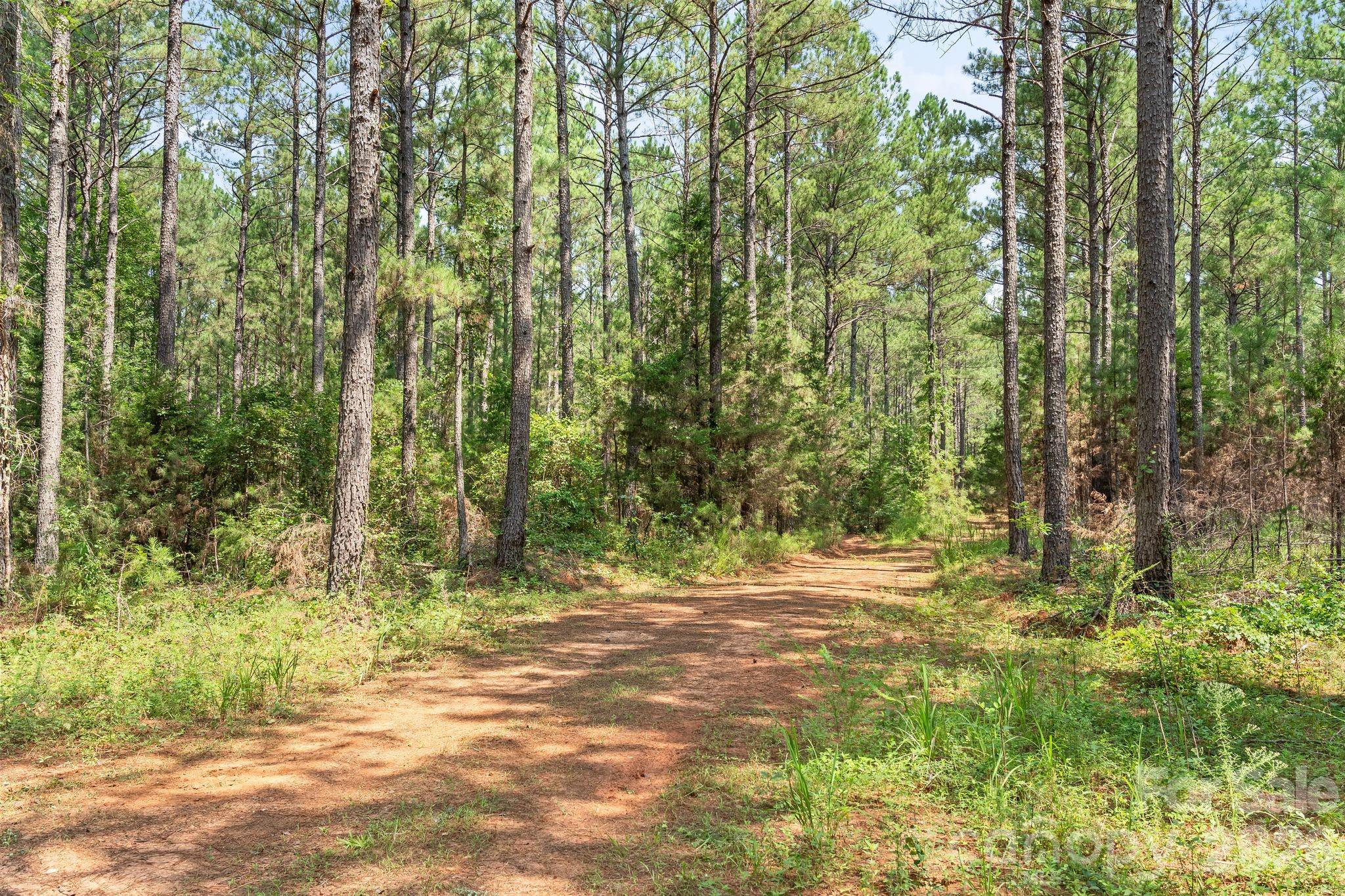 0000 Hwy 72 Highway 1 Property Photo 6
