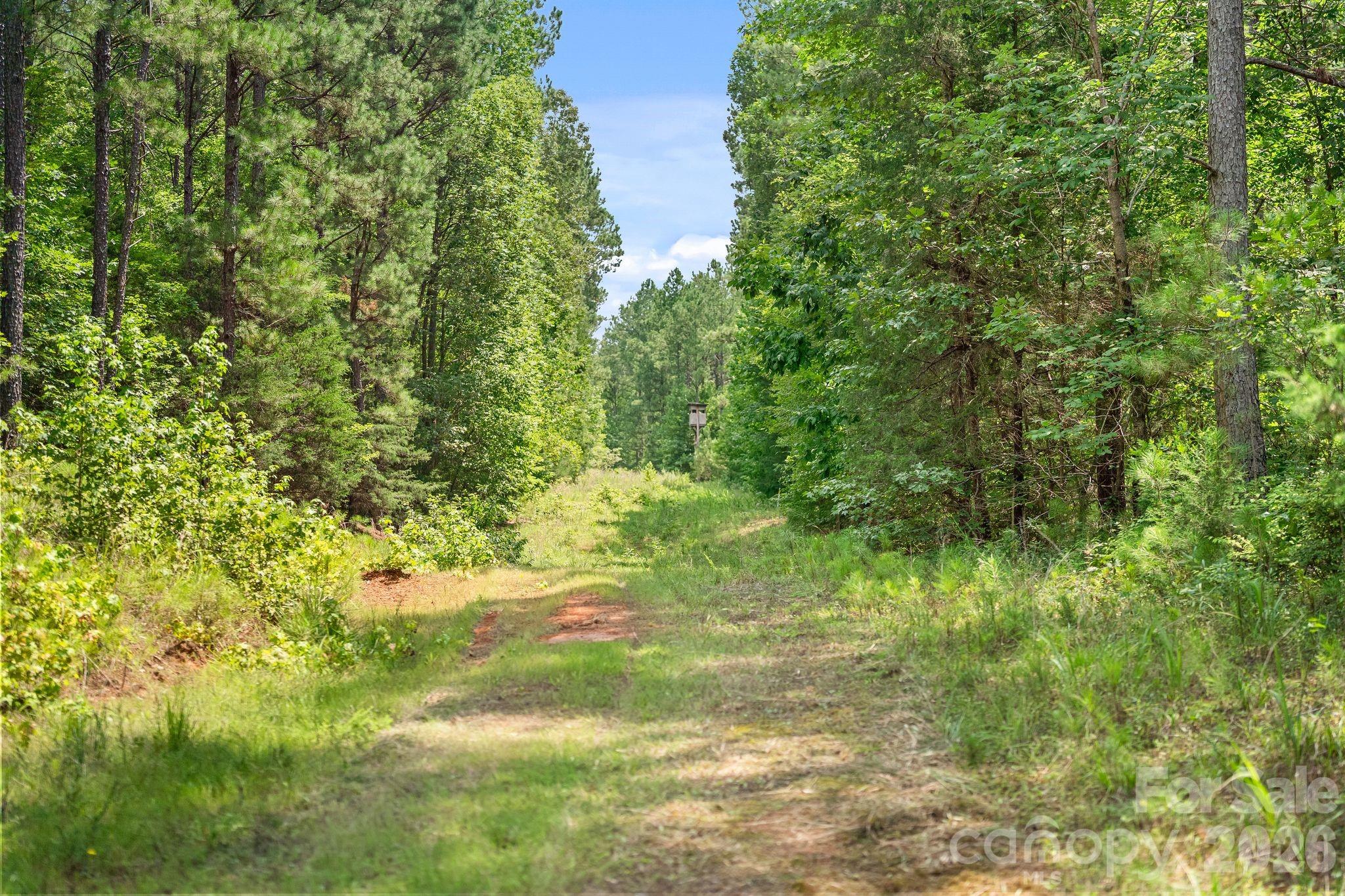 0000 Hwy 72 Highway 1 Property Photo 13