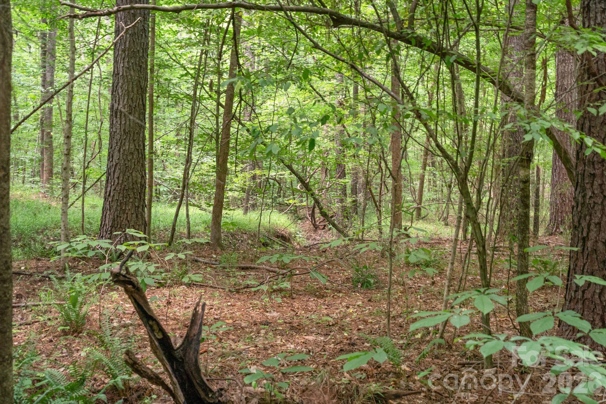 0000 Hwy 72 Highway 1 Property Photo 17