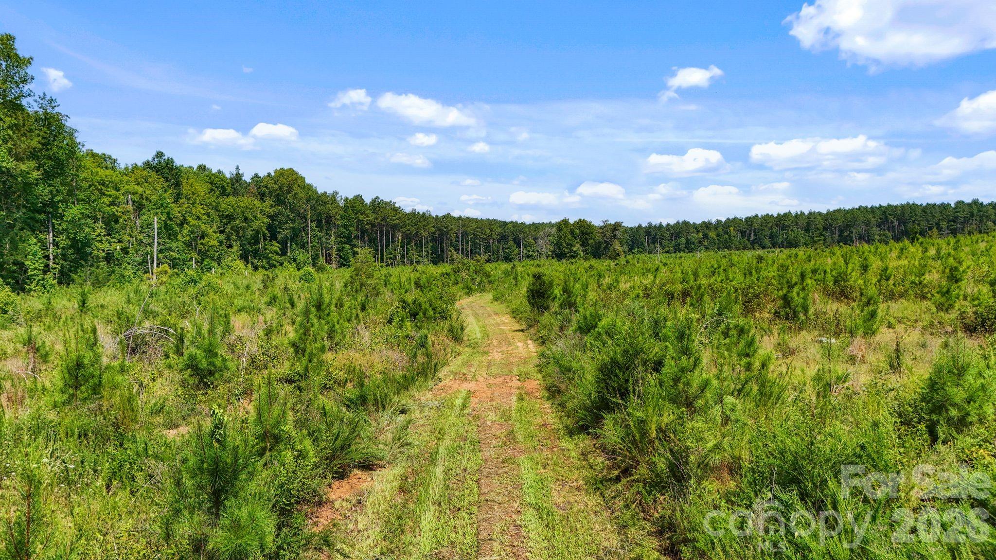 0000 Hwy 72 Highway 3 Property Photo 25