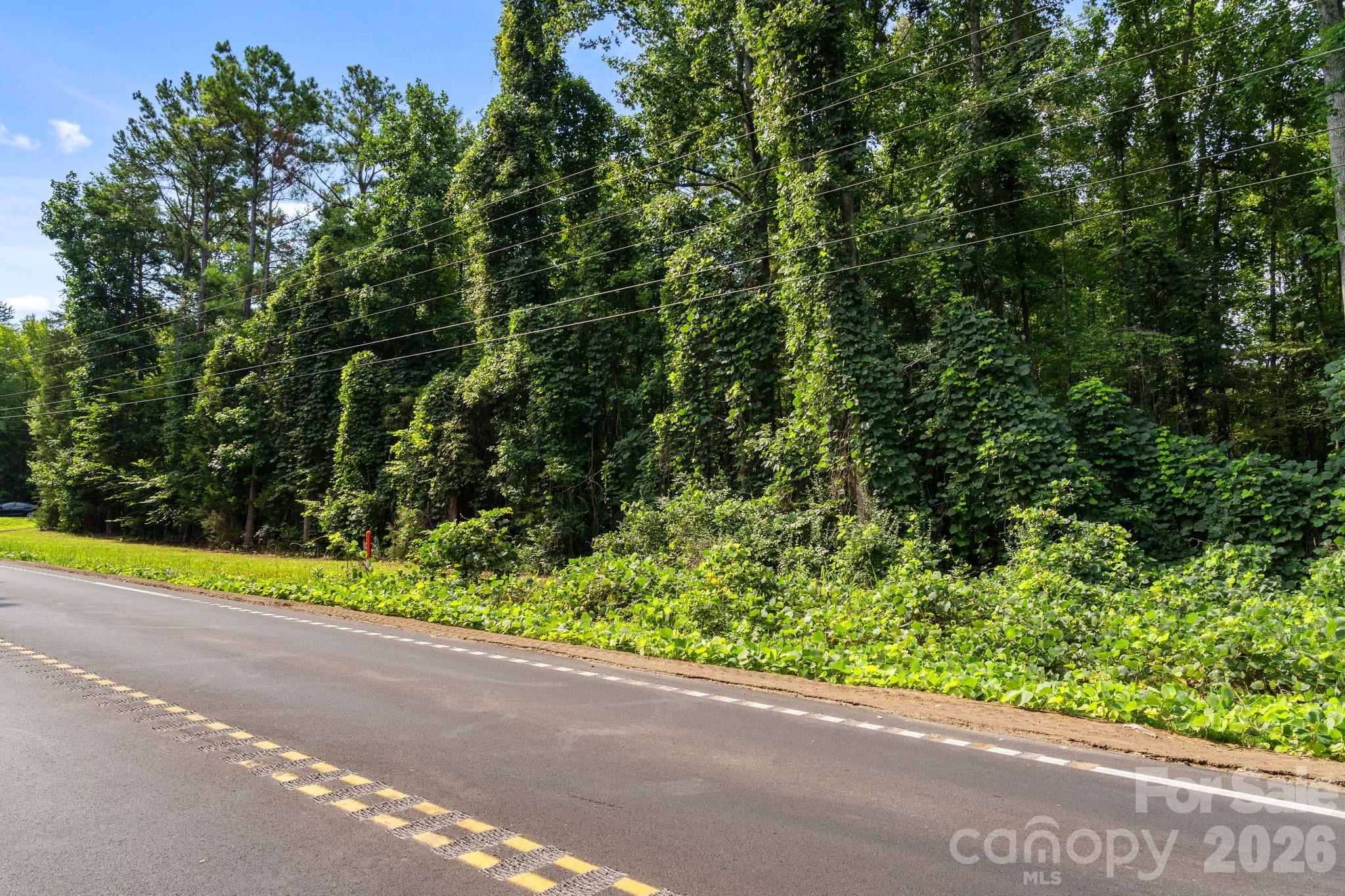 3312 Mcconnells Highway Property Photo 4