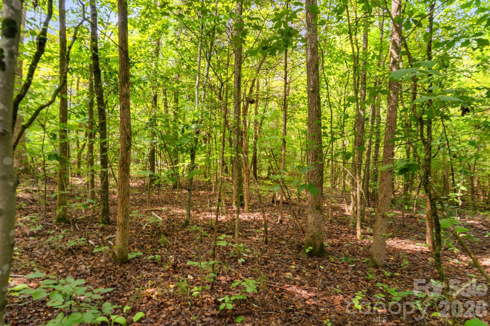 3312 Mcconnells Highway Property Photo 5