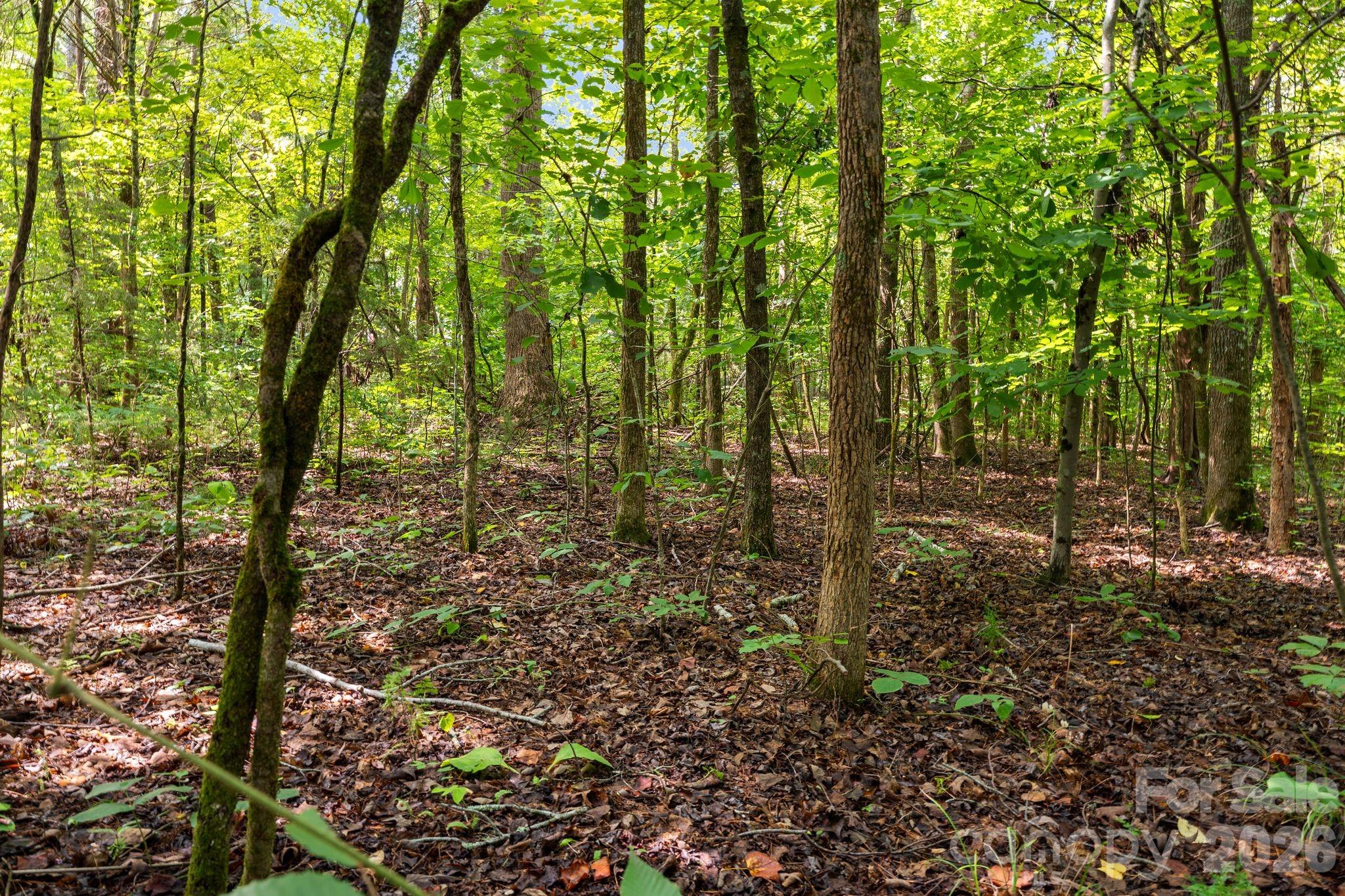 3312 Mcconnells Highway Property Photo 6