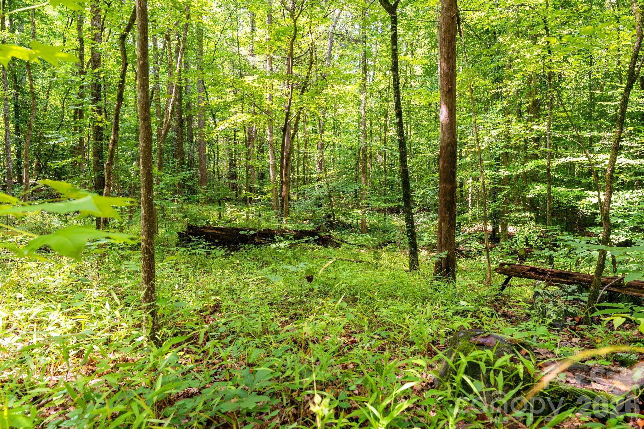 3312 Mcconnells Highway Property Photo 7