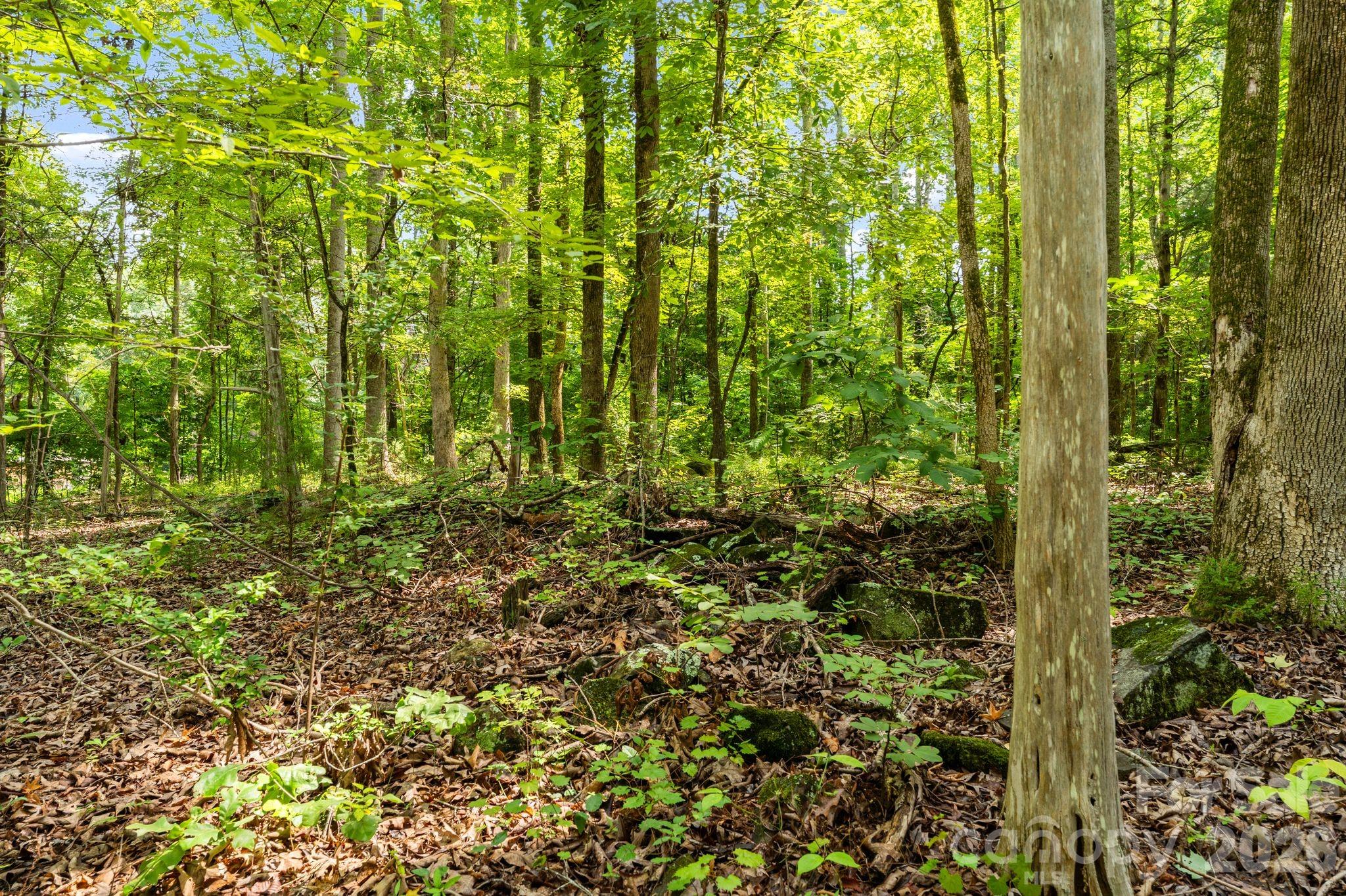 3312 Mcconnells Highway Property Photo 8