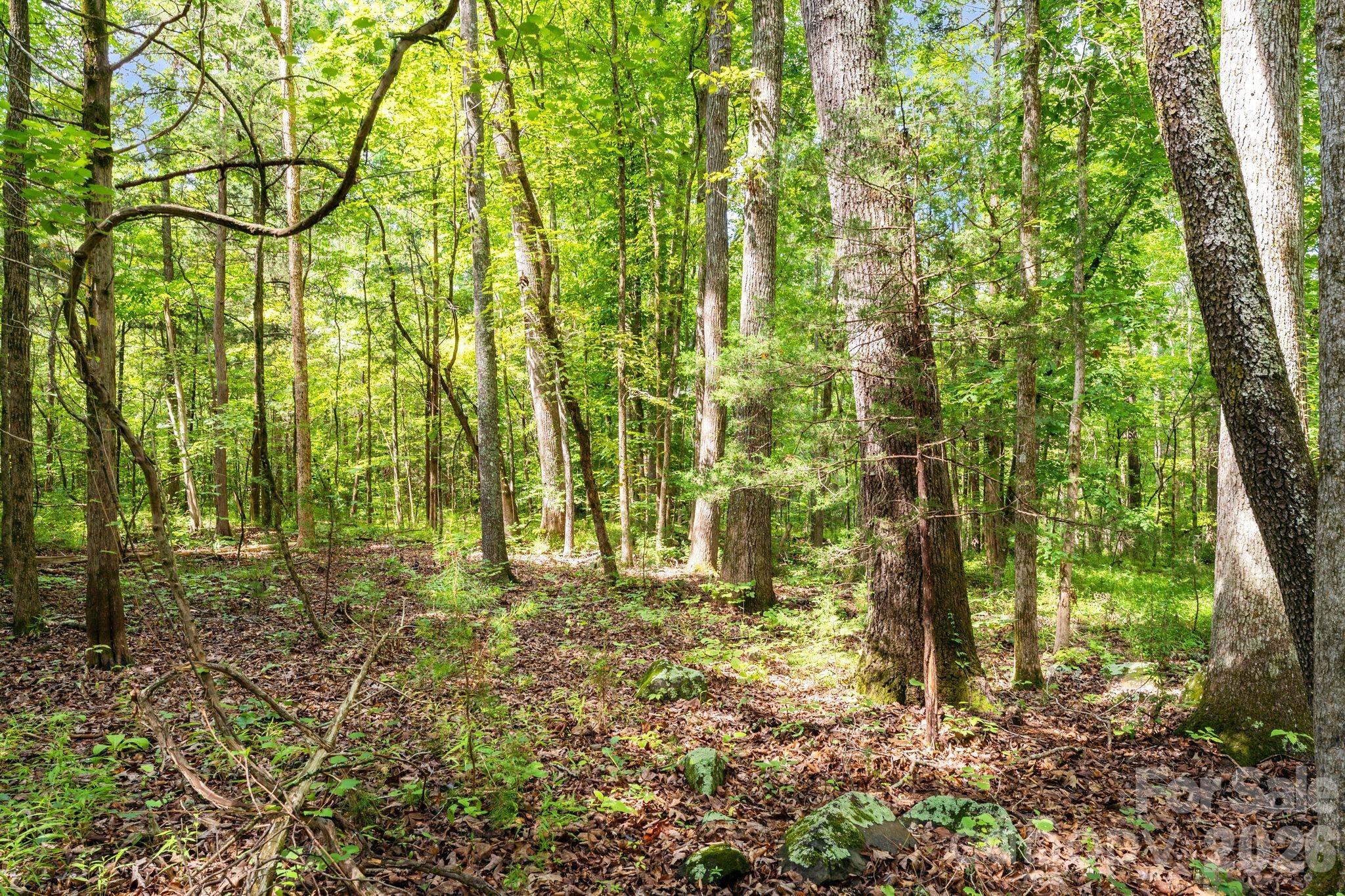 3312 Mcconnells Highway Property Photo 14
