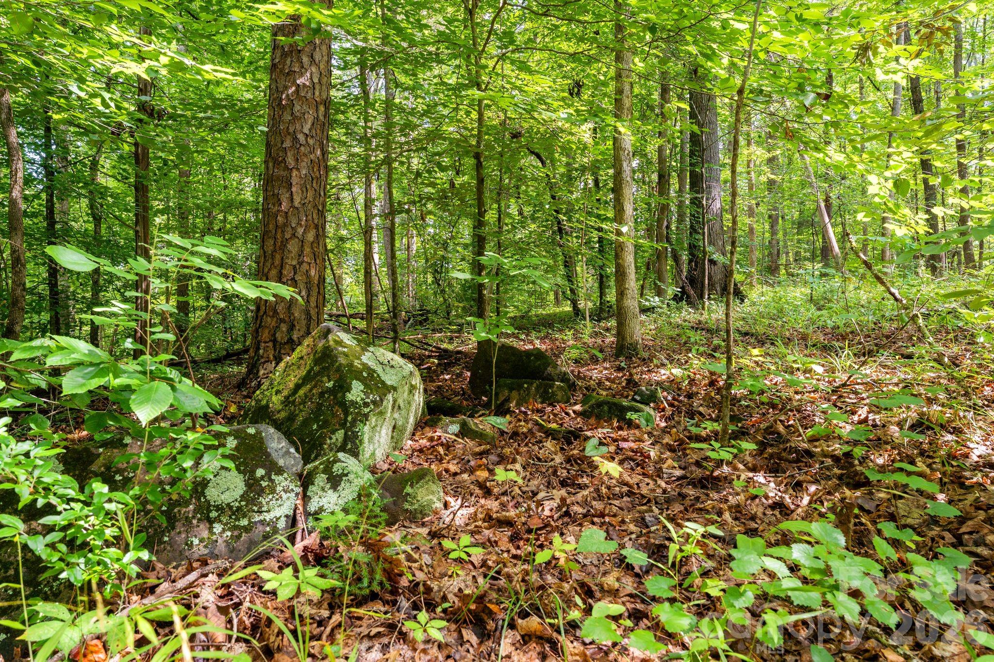 3312 Mcconnells Highway Property Photo 15