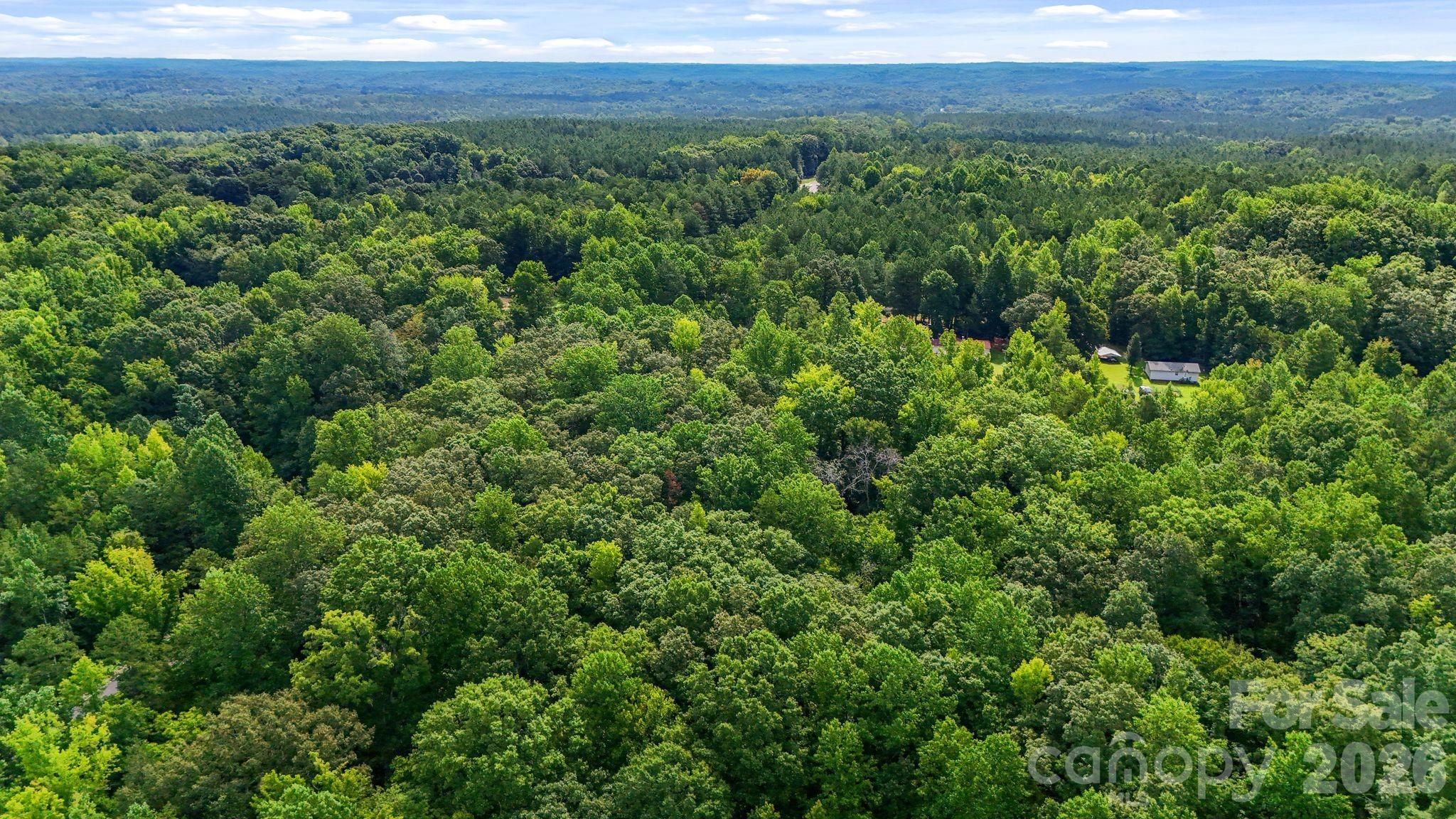 3312 Mcconnells Highway Property Photo 19
