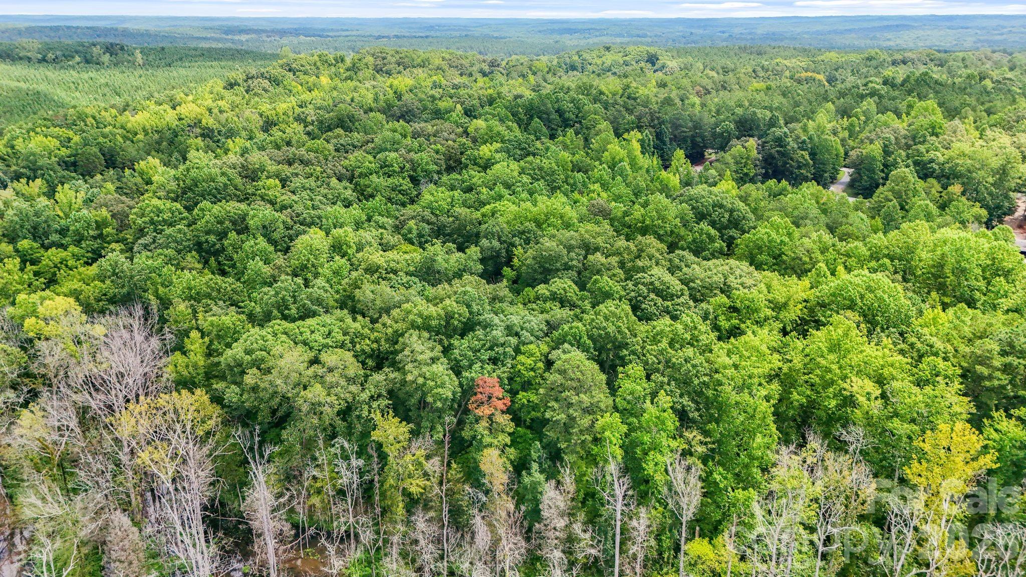 3312 Mcconnells Highway Property Photo 28
