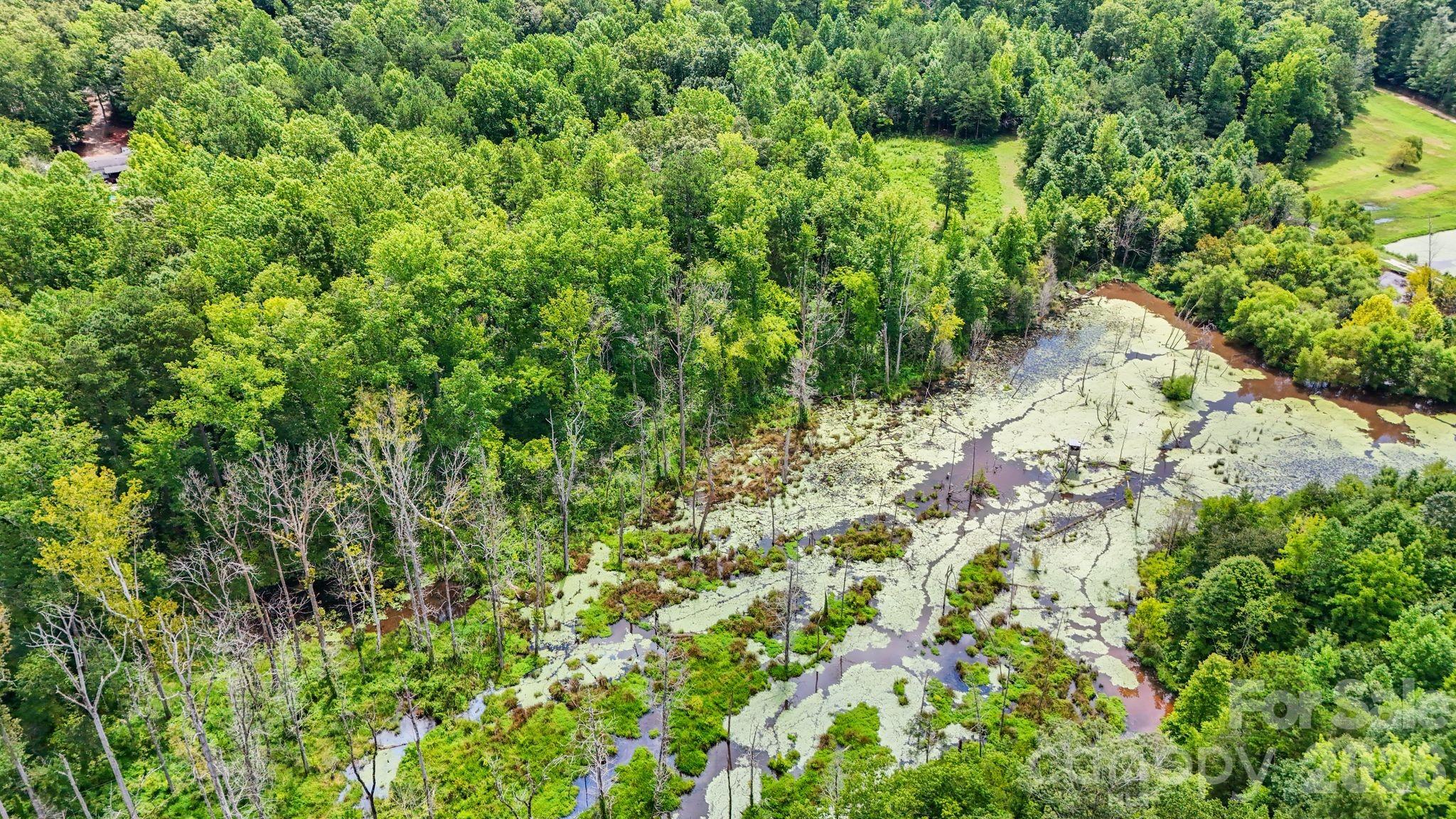3312 Mcconnells Highway Property Photo 29