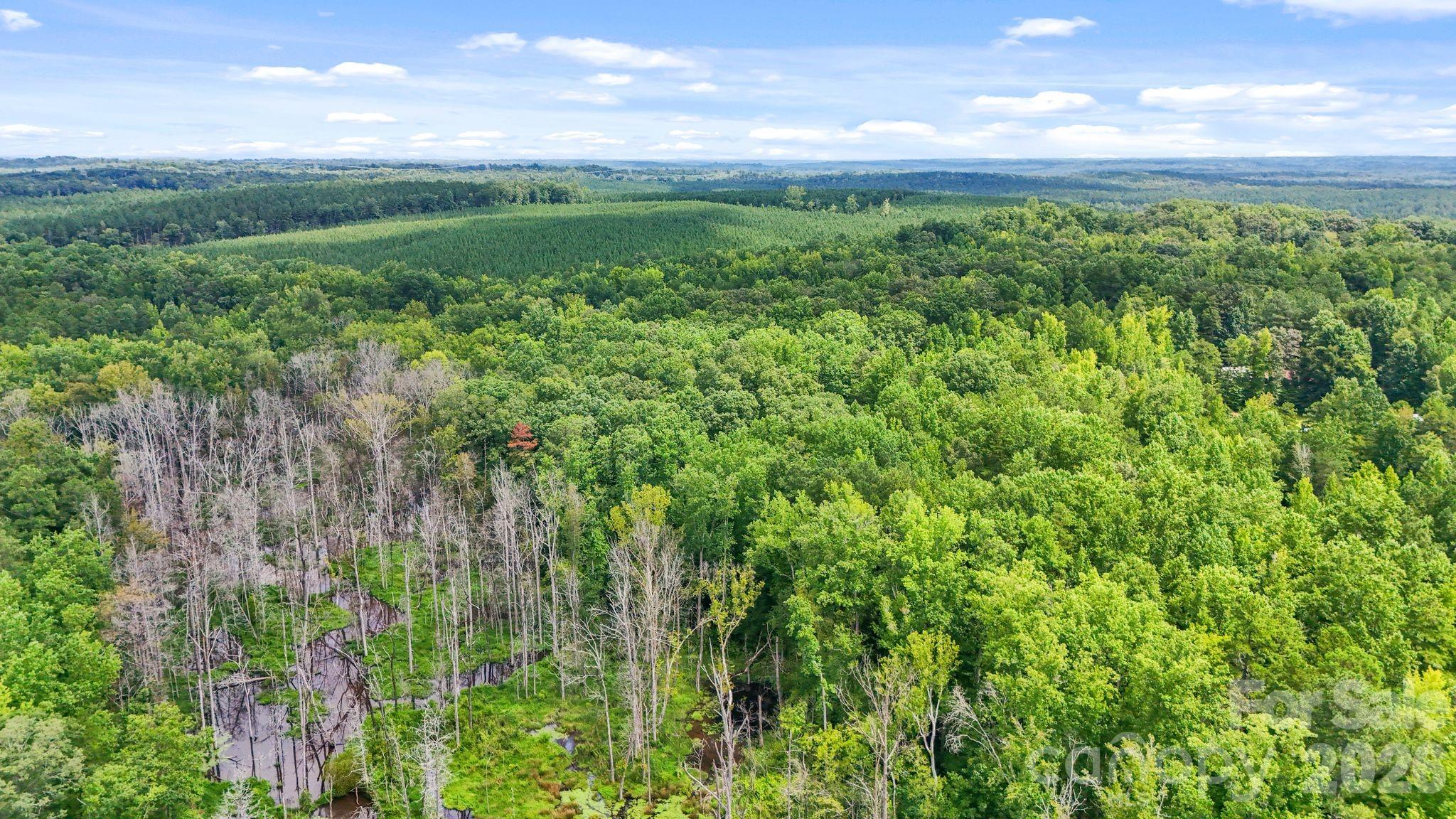 3312 Mcconnells Highway Property Photo 30