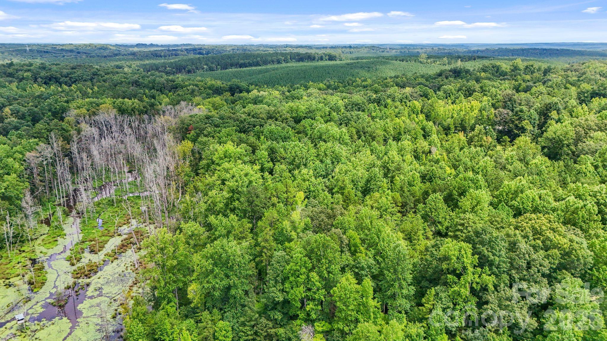 3312 Mcconnells Highway Property Photo 31