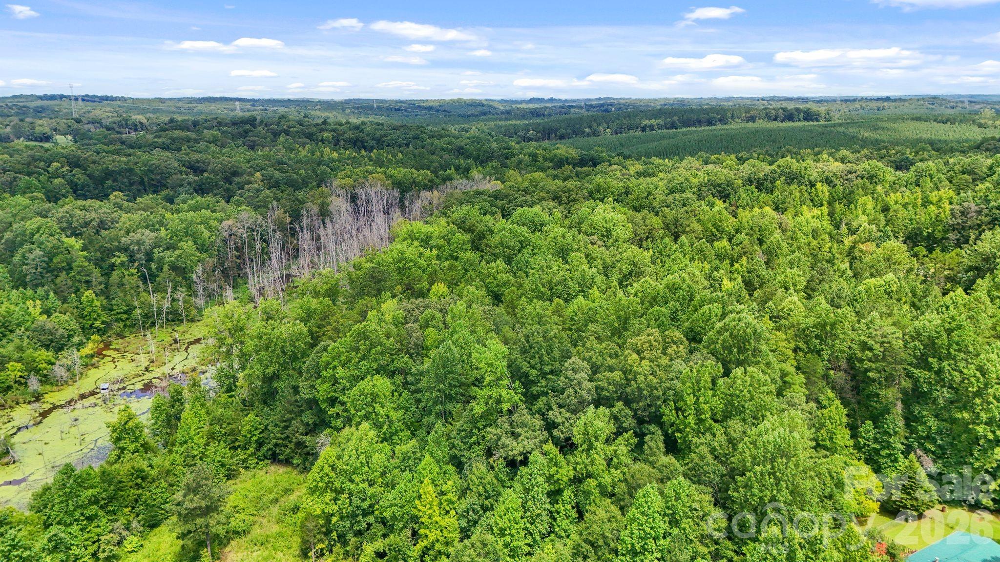 3312 Mcconnells Highway Property Photo 32