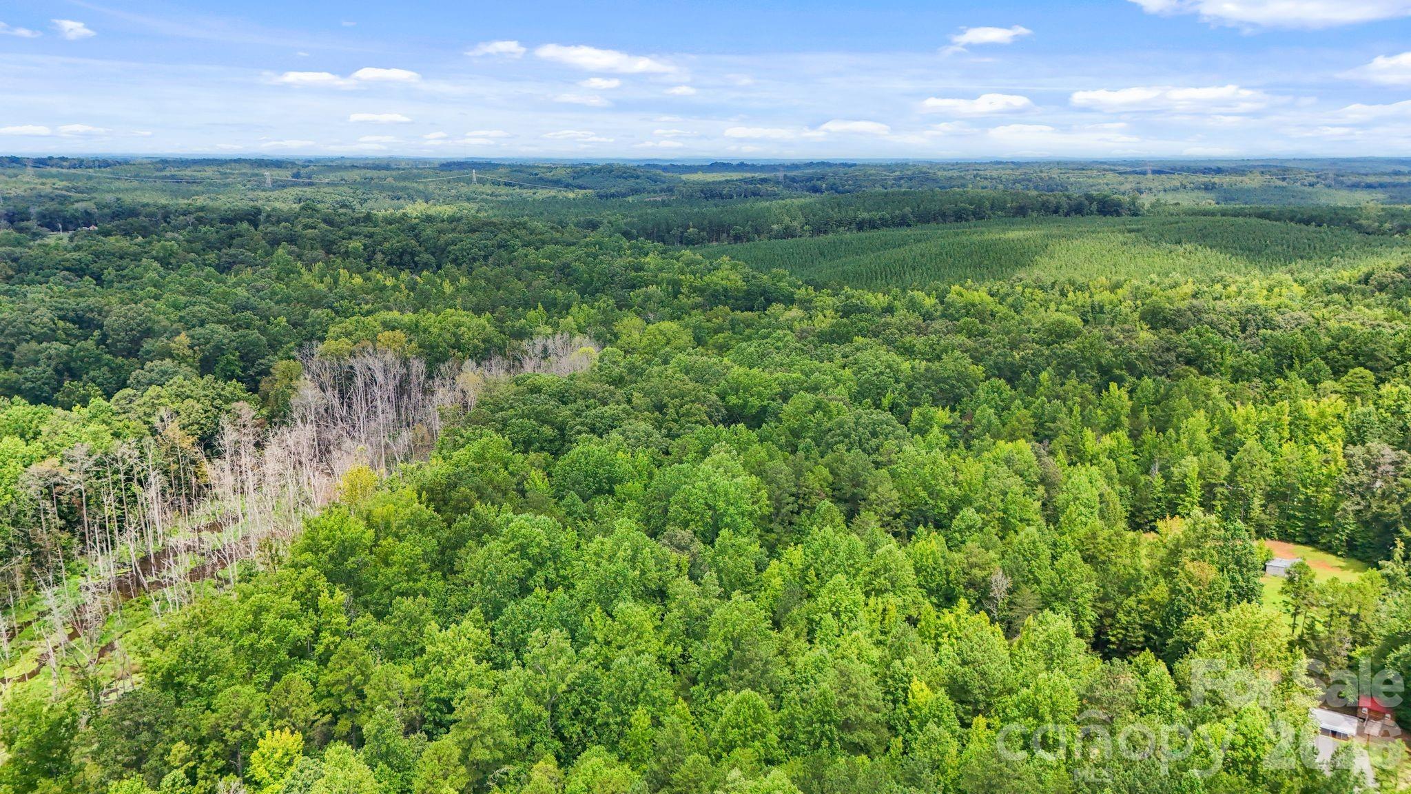 3312 Mcconnells Highway Property Photo 37