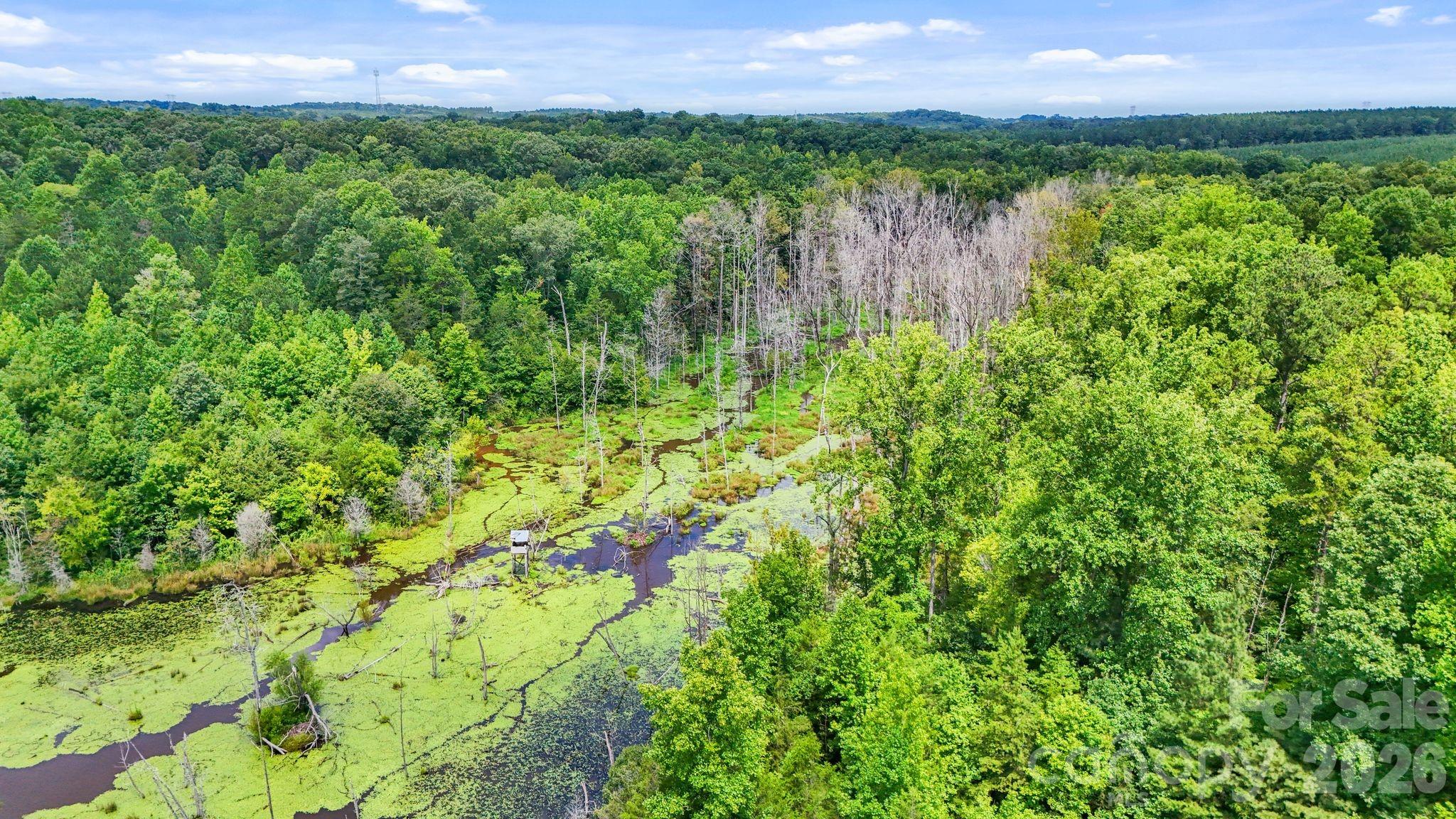 3312 Mcconnells Highway Property Photo 38