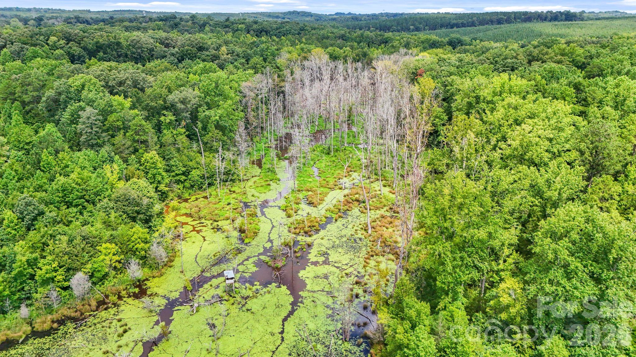 3312 Mcconnells Highway Property Photo 39