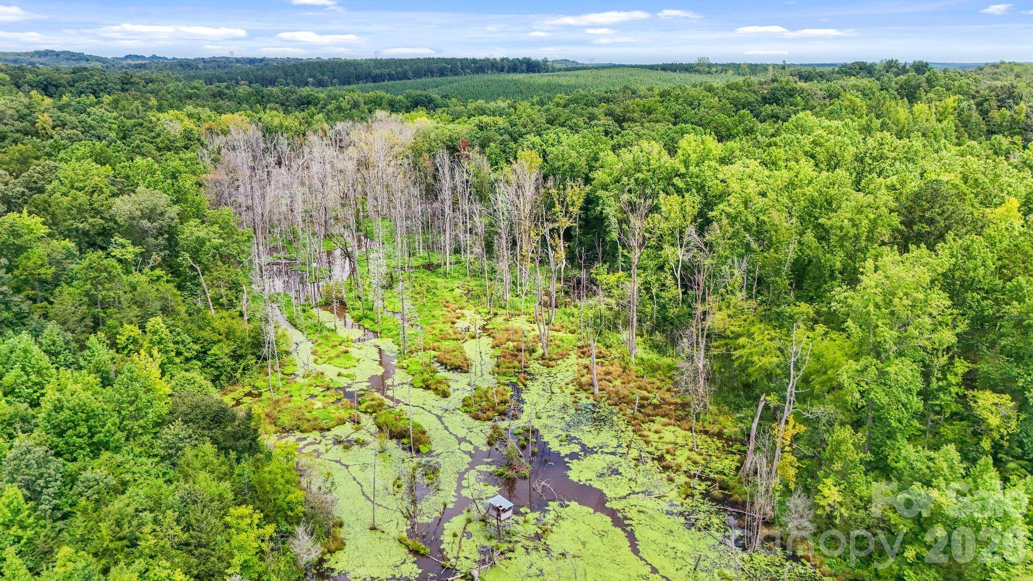 3312 Mcconnells Highway Property Photo 40